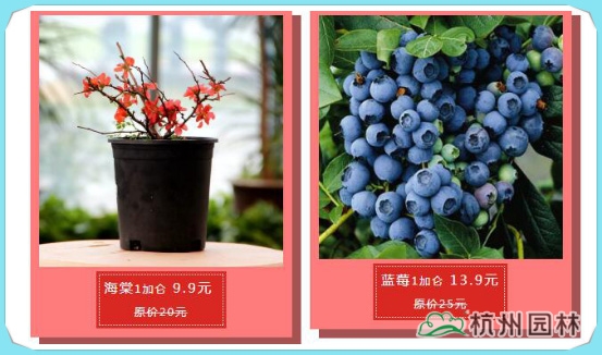 亚洲精品白浆高清久久久久久