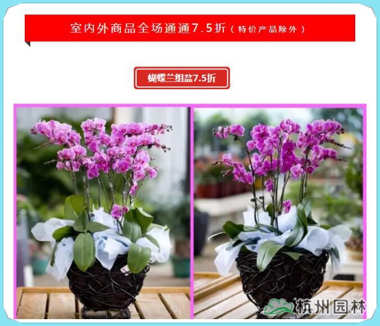 亚洲精品白浆高清久久久久久