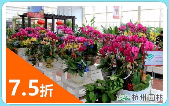 亚洲精品白浆高清久久久久久