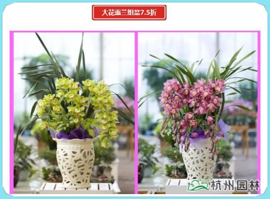 亚洲精品白浆高清久久久久久