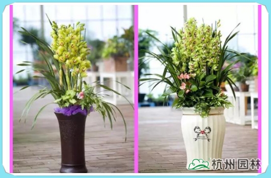 亚洲精品白浆高清久久久久久