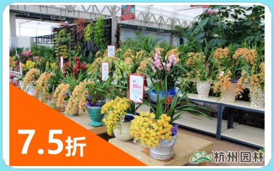 亚洲精品白浆高清久久久久久