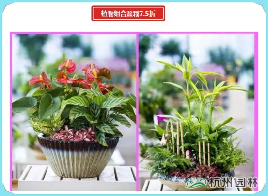 亚洲精品白浆高清久久久久久