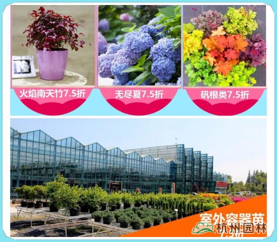 亚洲精品白浆高清久久久久久