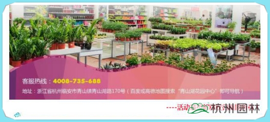 亚洲精品白浆高清久久久久久