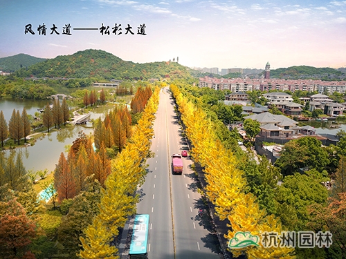 亚洲精品白浆高清久久久久久