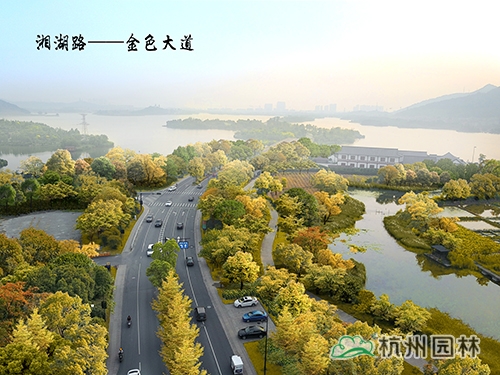 亚洲精品白浆高清久久久久久