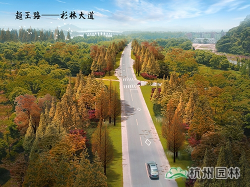 亚洲精品白浆高清久久久久久