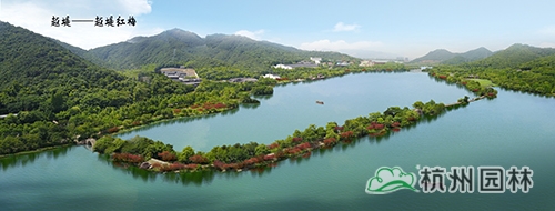 亚洲精品白浆高清久久久久久