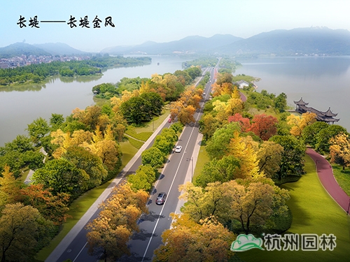 亚洲精品白浆高清久久久久久