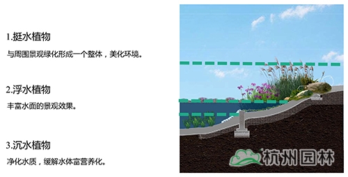 亚洲精品白浆高清久久久久久