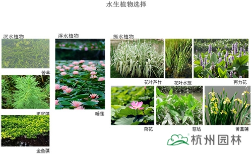 亚洲精品白浆高清久久久久久