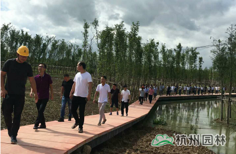 亚洲精品白浆高清久久久久久