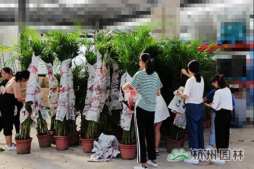 亚洲精品白浆高清久久久久久