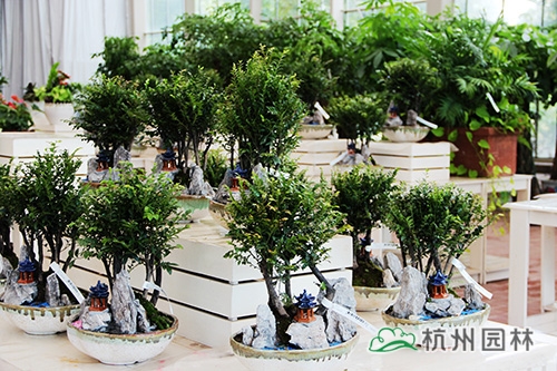 亚洲精品白浆高清久久久久久