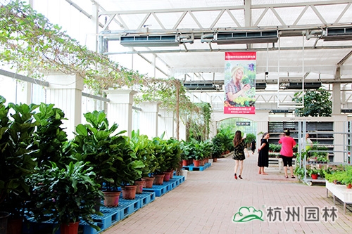 亚洲精品白浆高清久久久久久