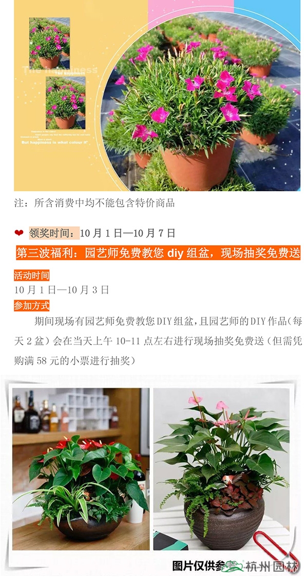 亚洲精品白浆高清久久久久久