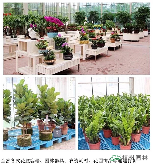 亚洲精品白浆高清久久久久久