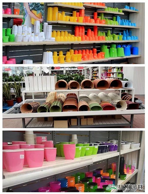 亚洲精品白浆高清久久久久久