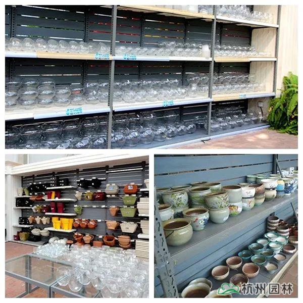 亚洲精品白浆高清久久久久久