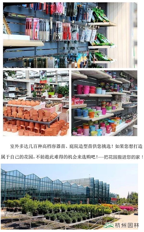亚洲精品白浆高清久久久久久