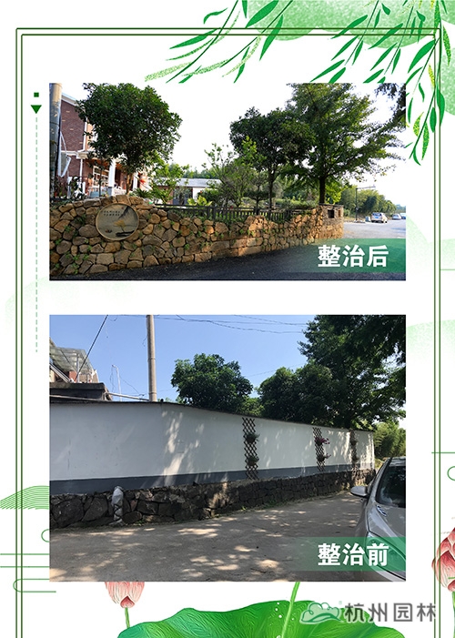 亚洲精品白浆高清久久久久久