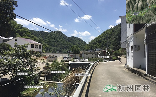 亚洲精品白浆高清久久久久久
