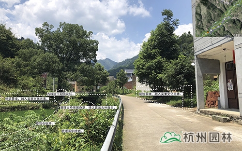 亚洲精品白浆高清久久久久久