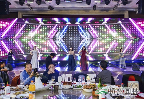 亚洲精品白浆高清久久久久久