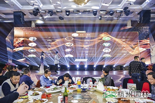 亚洲精品白浆高清久久久久久