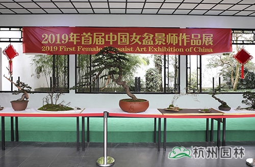 亚洲精品白浆高清久久久久久