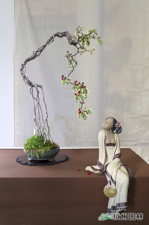 亚洲精品白浆高清久久久久久