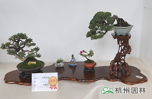 亚洲精品白浆高清久久久久久