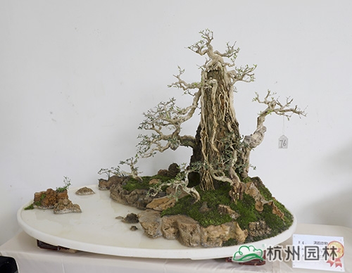 亚洲精品白浆高清久久久久久