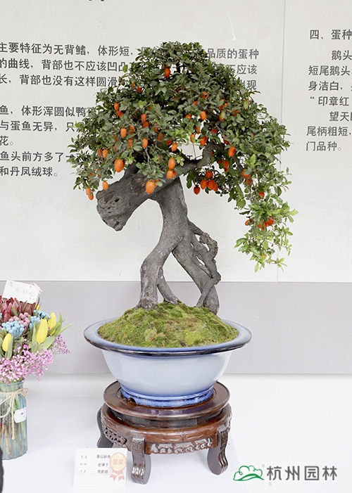 亚洲精品白浆高清久久久久久