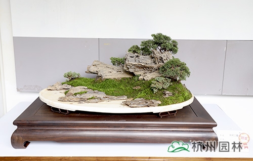 亚洲精品白浆高清久久久久久