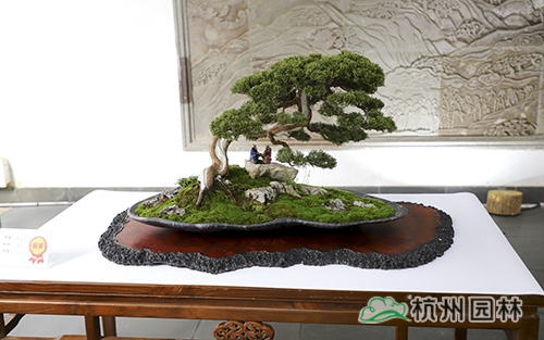 亚洲精品白浆高清久久久久久