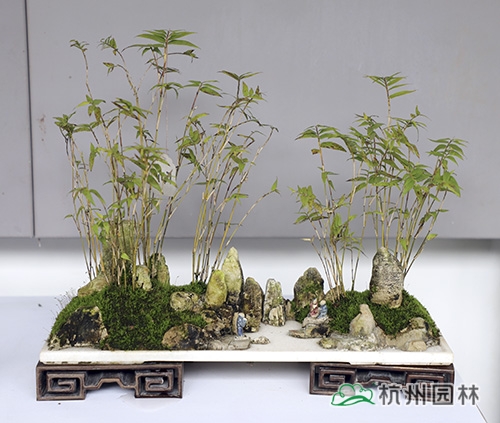 亚洲精品白浆高清久久久久久