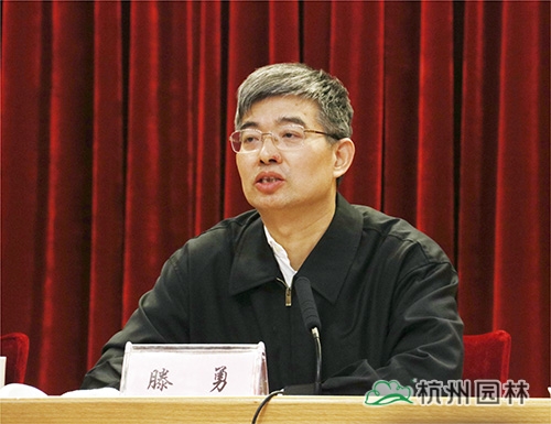 亚洲精品白浆高清久久久久久