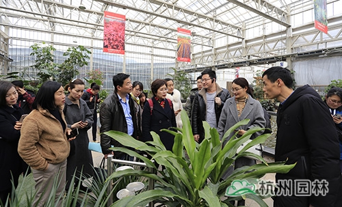 亚洲精品白浆高清久久久久久