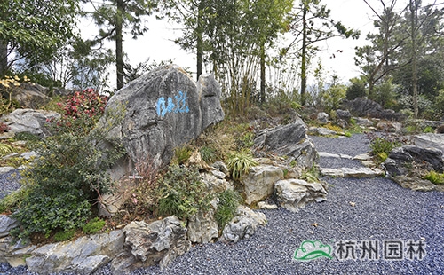 亚洲精品白浆高清久久久久久