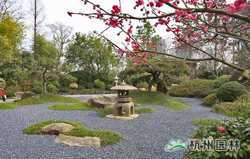 亚洲精品白浆高清久久久久久