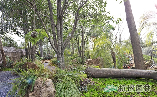 亚洲精品白浆高清久久久久久