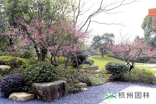 亚洲精品白浆高清久久久久久