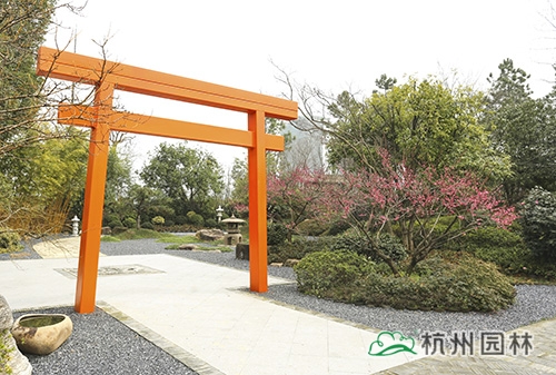 亚洲精品白浆高清久久久久久