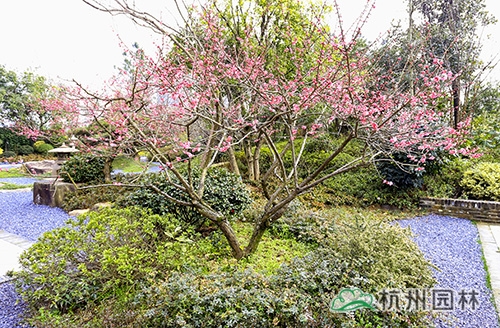 亚洲精品白浆高清久久久久久