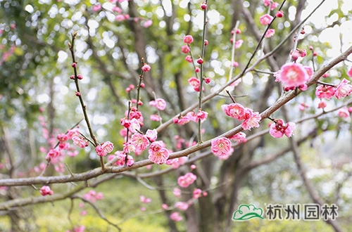 亚洲精品白浆高清久久久久久