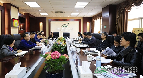 亚洲精品白浆高清久久久久久