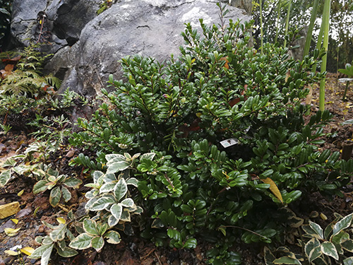 亚洲精品白浆高清久久久久久