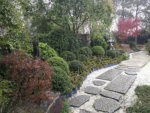 亚洲精品白浆高清久久久久久